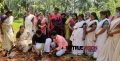 കർഷകദിനം: അഴിയൂരിൽ കർഷക കൂട്ടായ്മ പപ്പായ കൃഷി ആരംഭിച്ചു