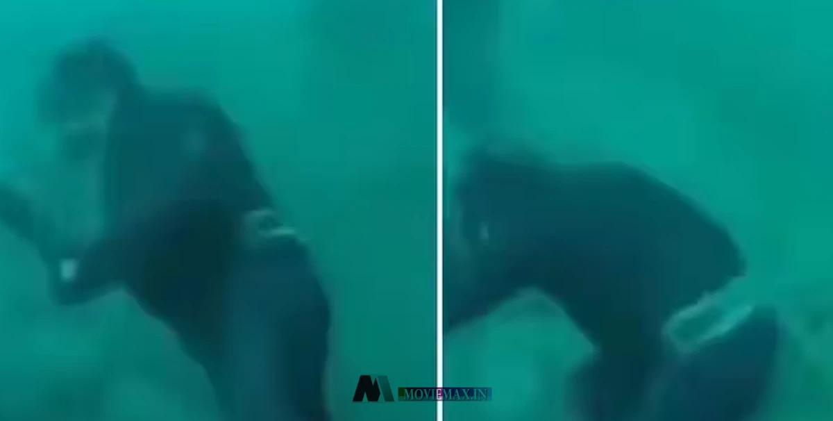 സ്രാവിന്‍റെ പിടിയില്‍ നിന്ന് തലനാരിയിഴയ്ക്ക് രക്ഷപ്പെടുന്ന ഡൈവര്‍; വീഡിയോ വൈറൽ