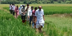 പാടശേഖരം സന്ദർശിച്ചു; കുടിവെള്ളക്ഷാമം പരിഹരിക്കുന്നതിനുള്ള നടപടികൾ ഊർജ്ജിതമെന്ന് എം എൽ എ 