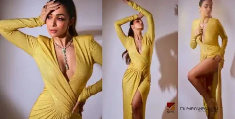 മഞ്ഞ ഗൗണിൽ ഹോട്ട് ലുക്കിൽ മലൈക